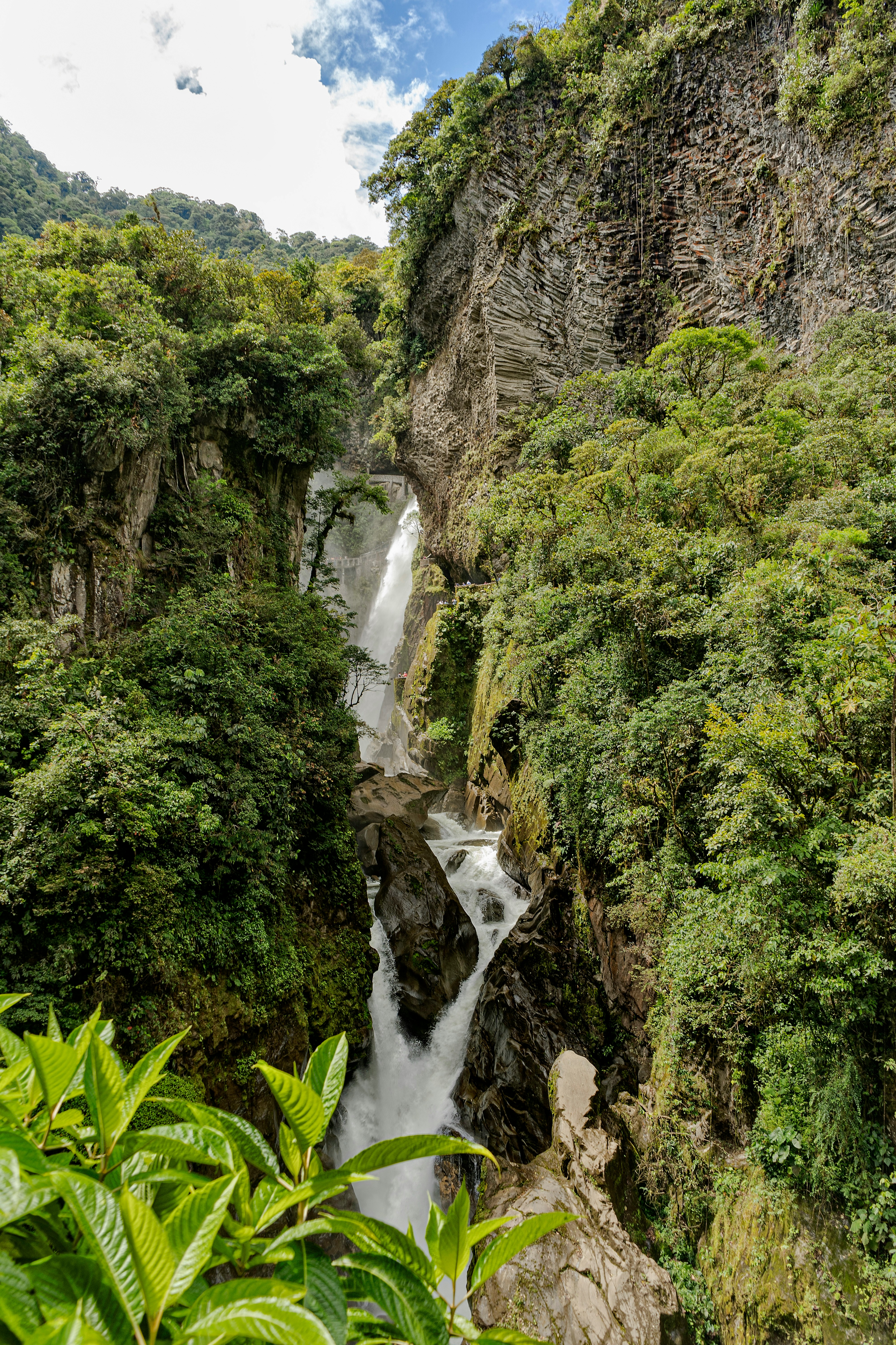 Naturaleza